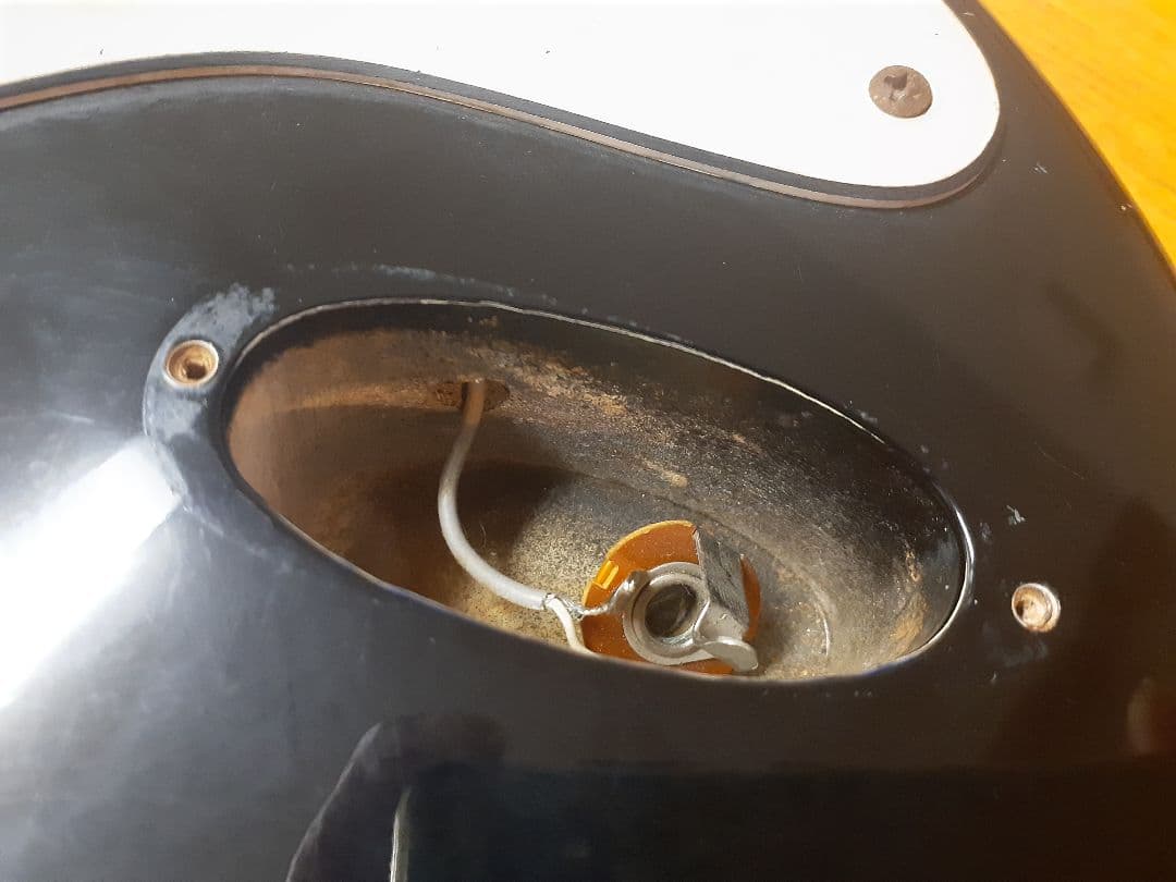 ス*モ様 Bill Lawrence BCOR-55 シャケ RED WARRI