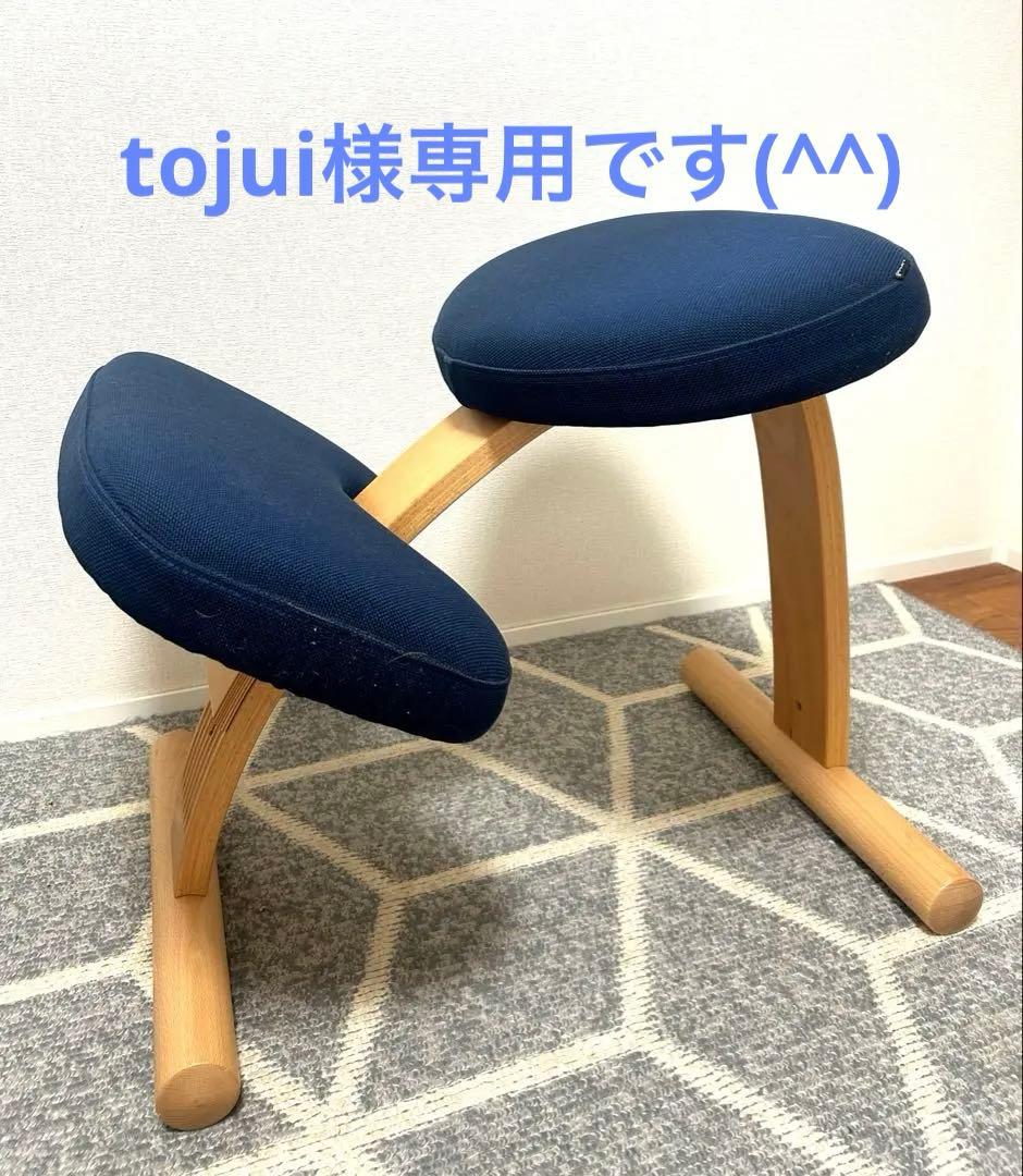 balance Easy バランス イージー⭐︎ブラウンカバー付き