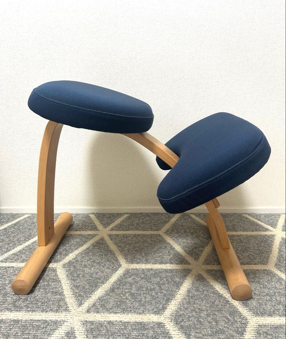 balance Easy バランス イージー⭐︎ブラウンカバー付き