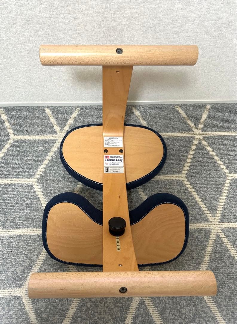 balance Easy バランス イージー⭐︎ブラウンカバー付き