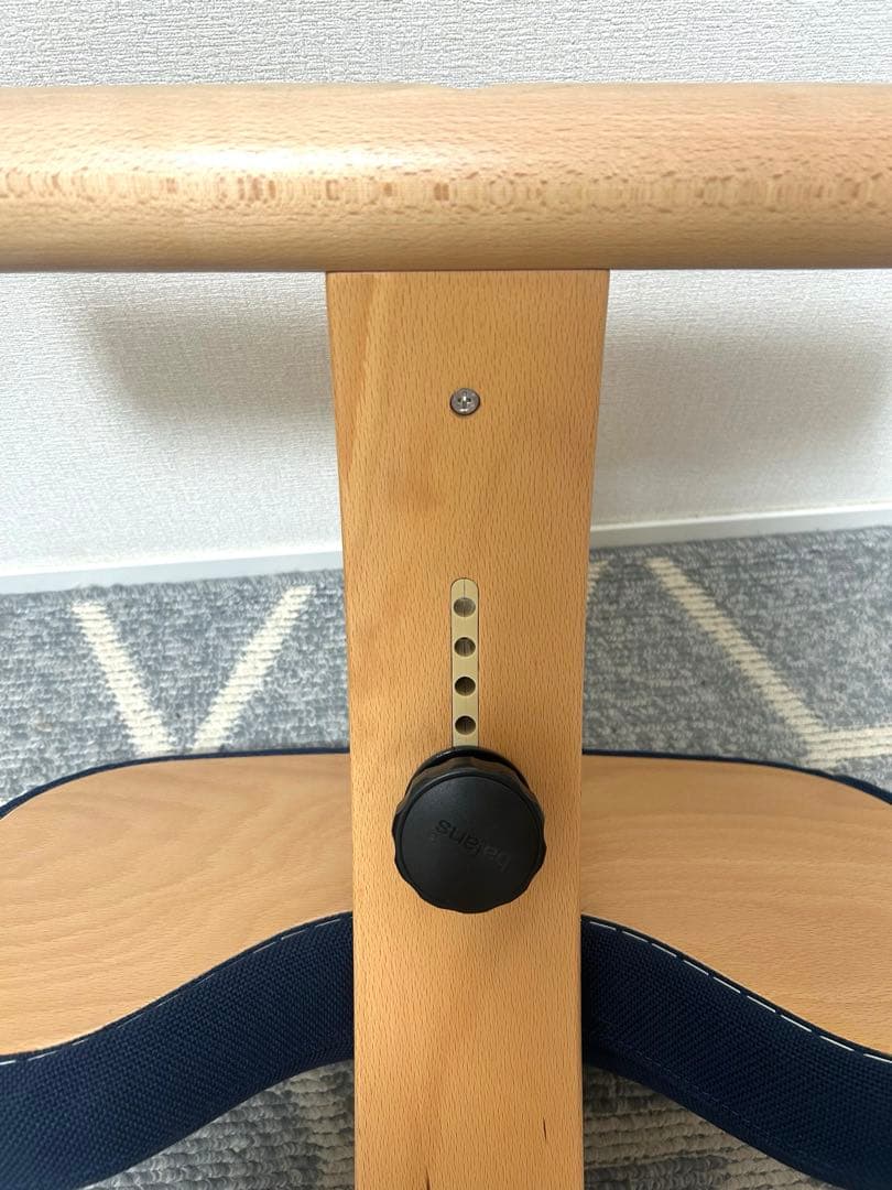 balance Easy バランス イージー⭐︎ブラウンカバー付き