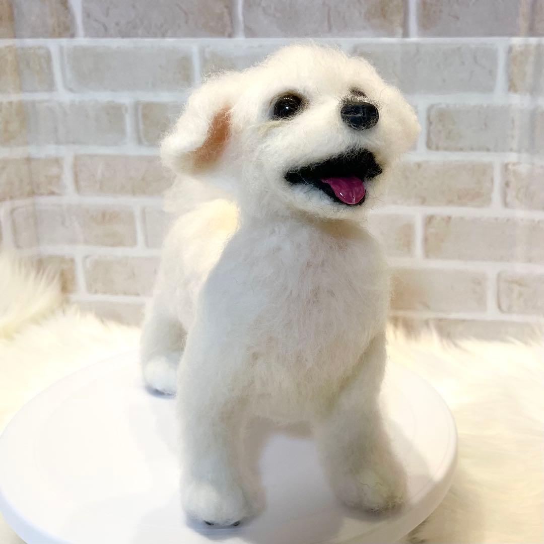 ジ*原様 羊毛フェルト　マルチーズ　momoichigo