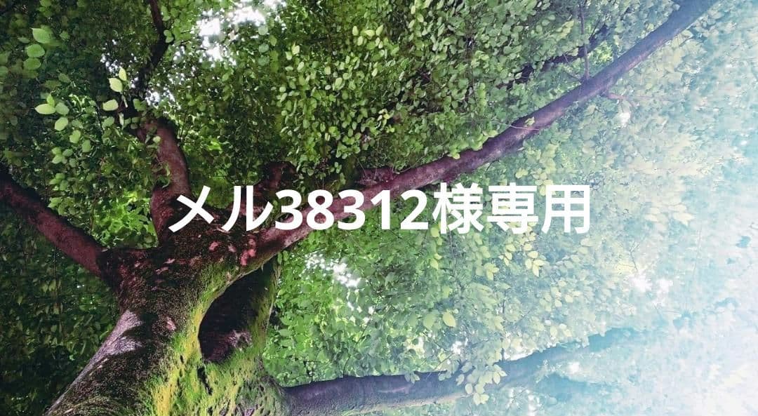 メル38312✨特典付電磁波防止✨本物CMCペンダントUSA版強力２本値引