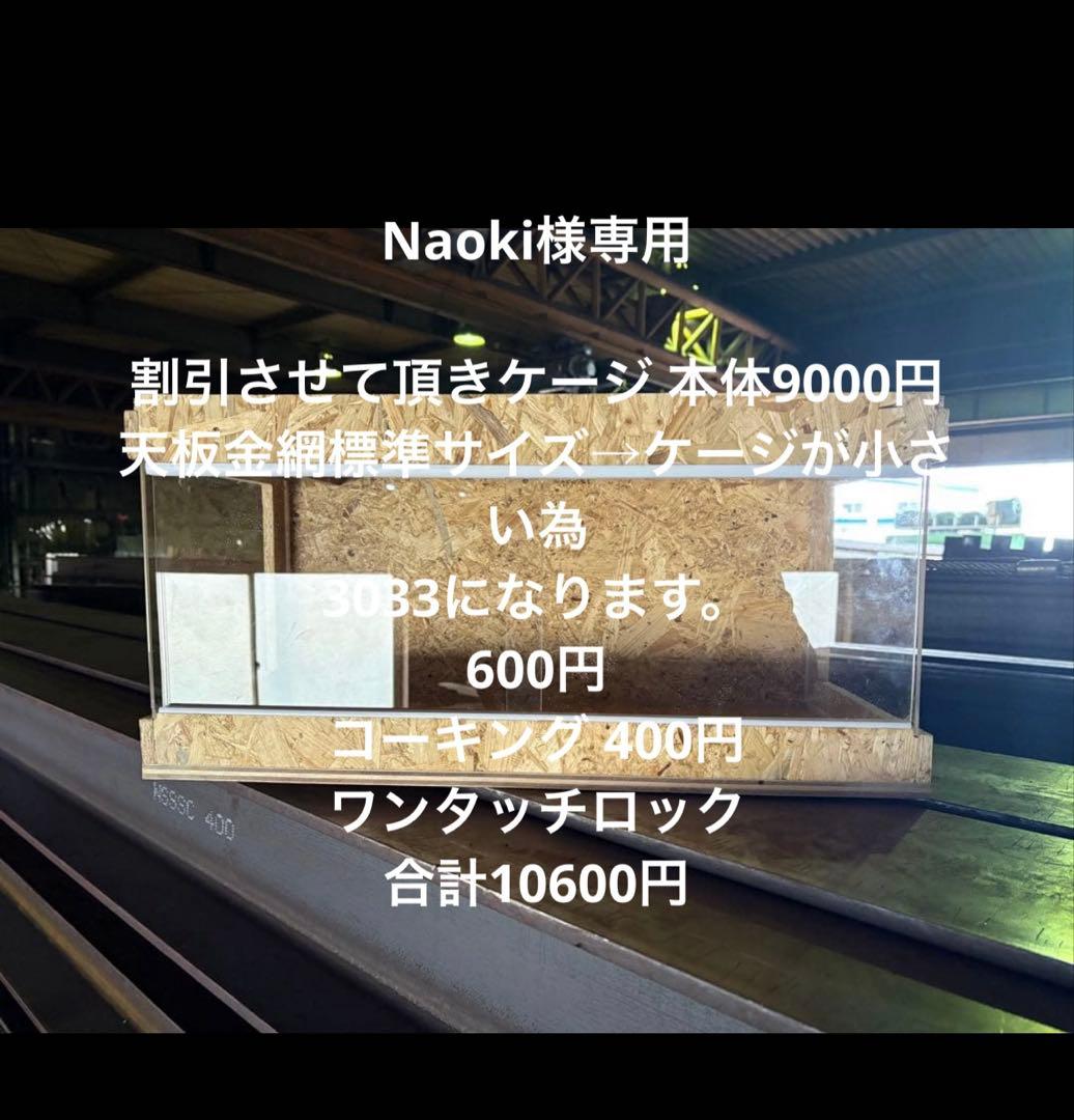 Naoki　404060