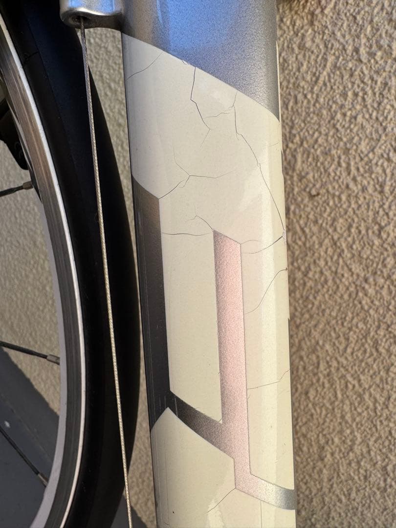 フジ　バラクーダ