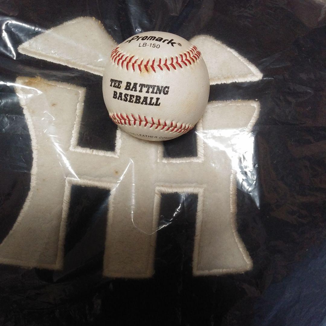 阪神タイガーストラッキー特大顔クッション横75cm縦75cmぐらい