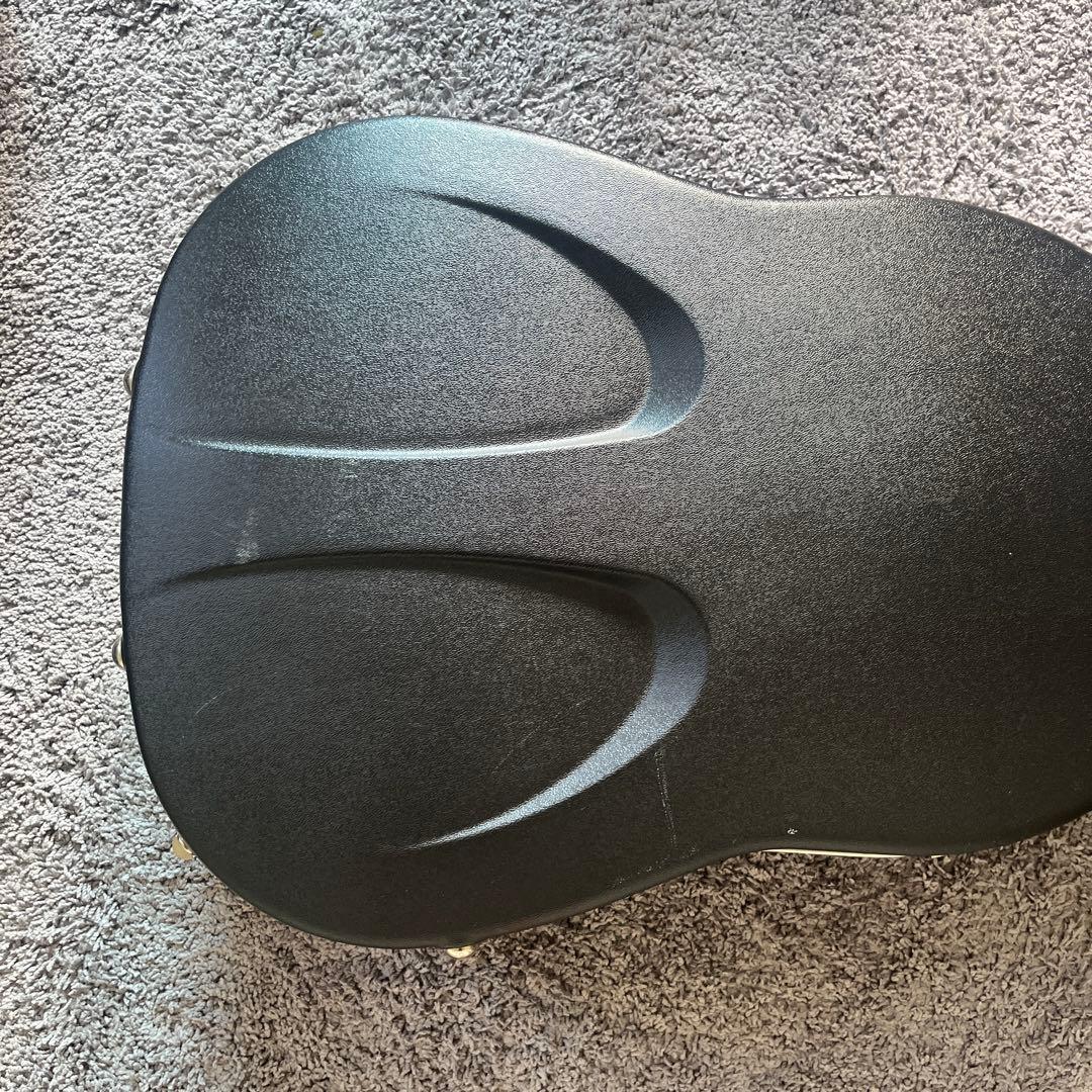 Martin D-28 Standard fishmanピックアップ