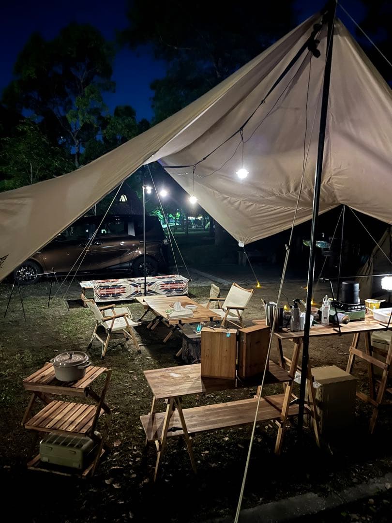 【最終タイムセール】新品未開封●SABBATICAL マリポサL⚫️送料込み