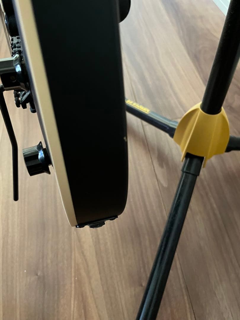 EVHウルフギャングステルスブラックUSA