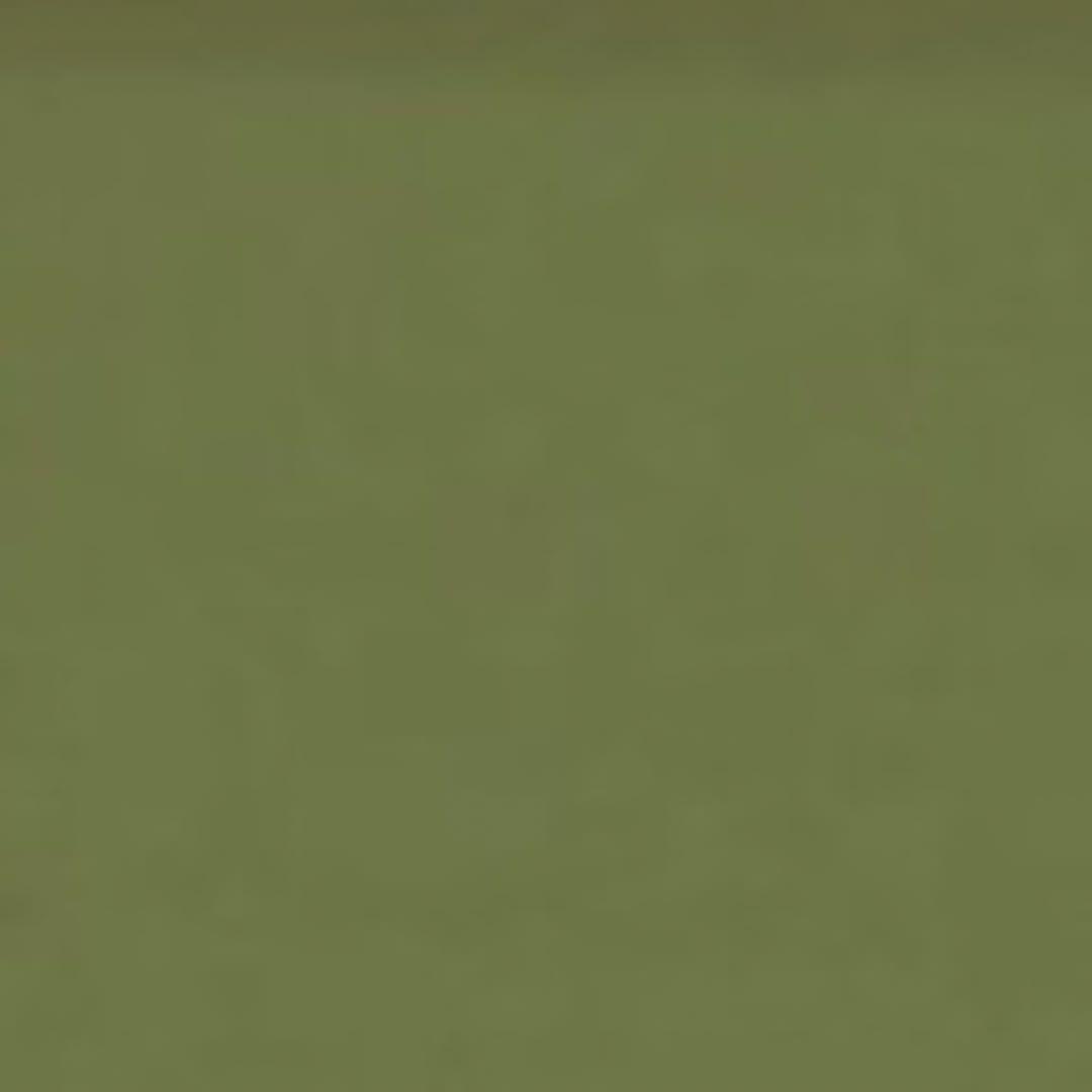 きのこページ Mowalolaきゃっぷ