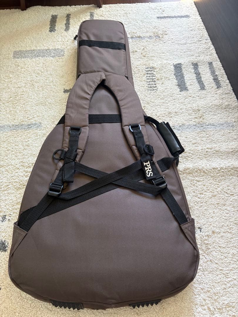 PRS seカスタム24