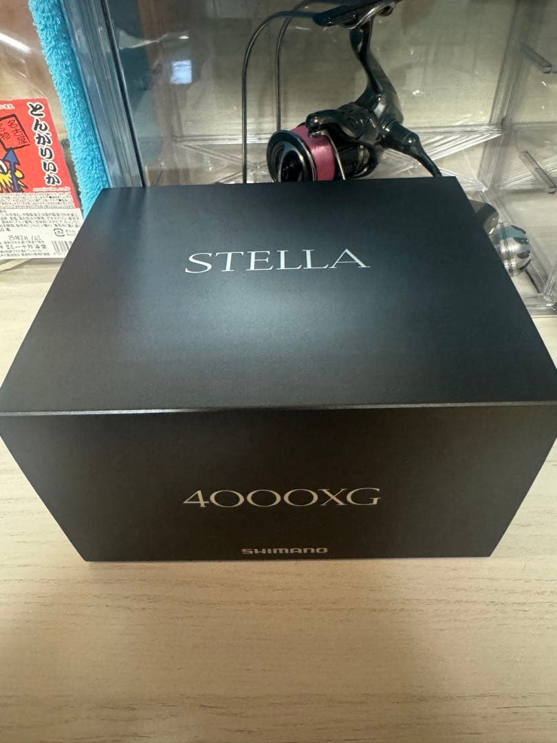 ポッポー　週末値下げ 美品 22ステラ 4000XG