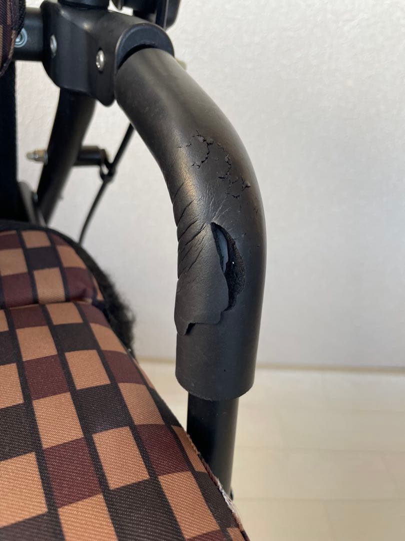 歩行車 : シンフォニーEVO