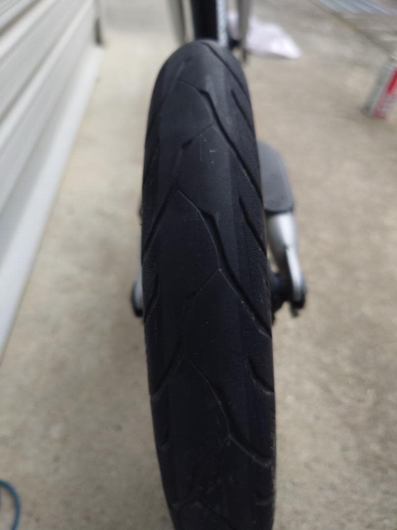 STRIDER PRO カスタム レース