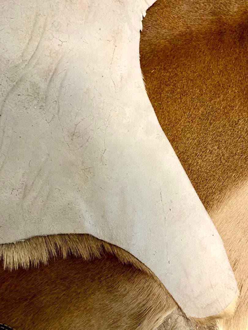 ラグ・カーペット si bubu