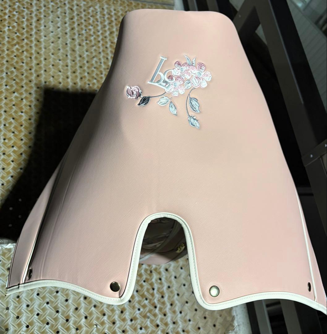 REGOLITH キャディバッグ