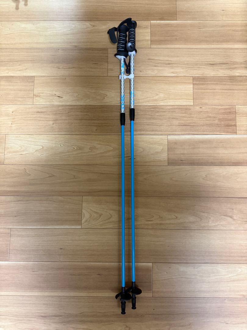 シナノ　SINANO スキー　ストック カーボン　サロモン　オガサカ