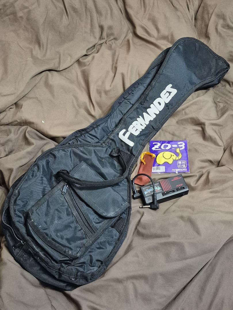 FERNANDES ZO-3 動作OK 現状 フェルナンデス ゾウさん