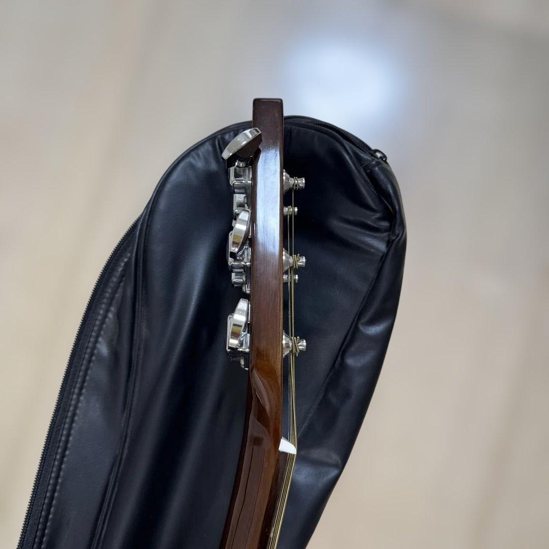 Yamaha アコースティックギター ギターケース付き　F-310P