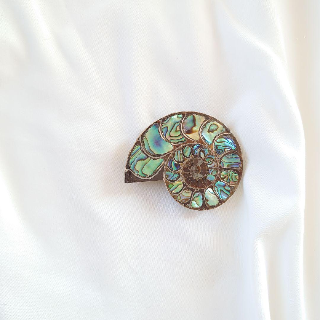 幸運の宝石アンモナイトの化石 約15cm 虹色　コレクション