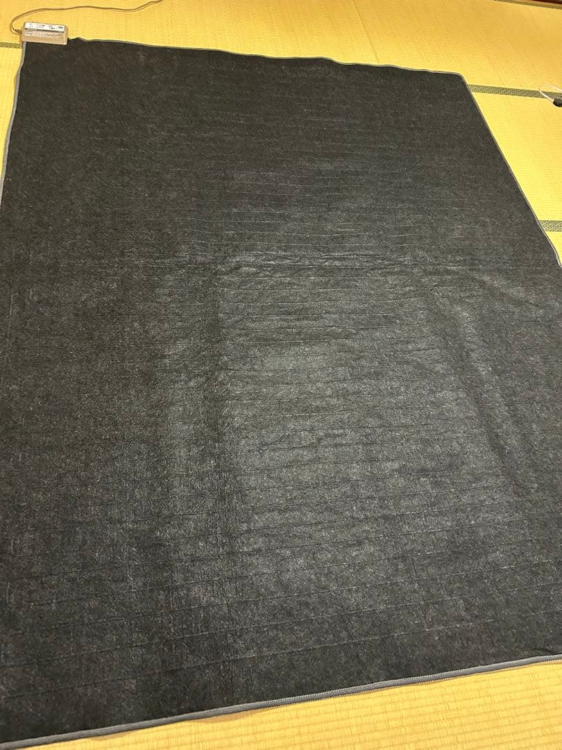 Panasonic DC-3NK 電気カーペットヒーター 本体のみ 2022年製