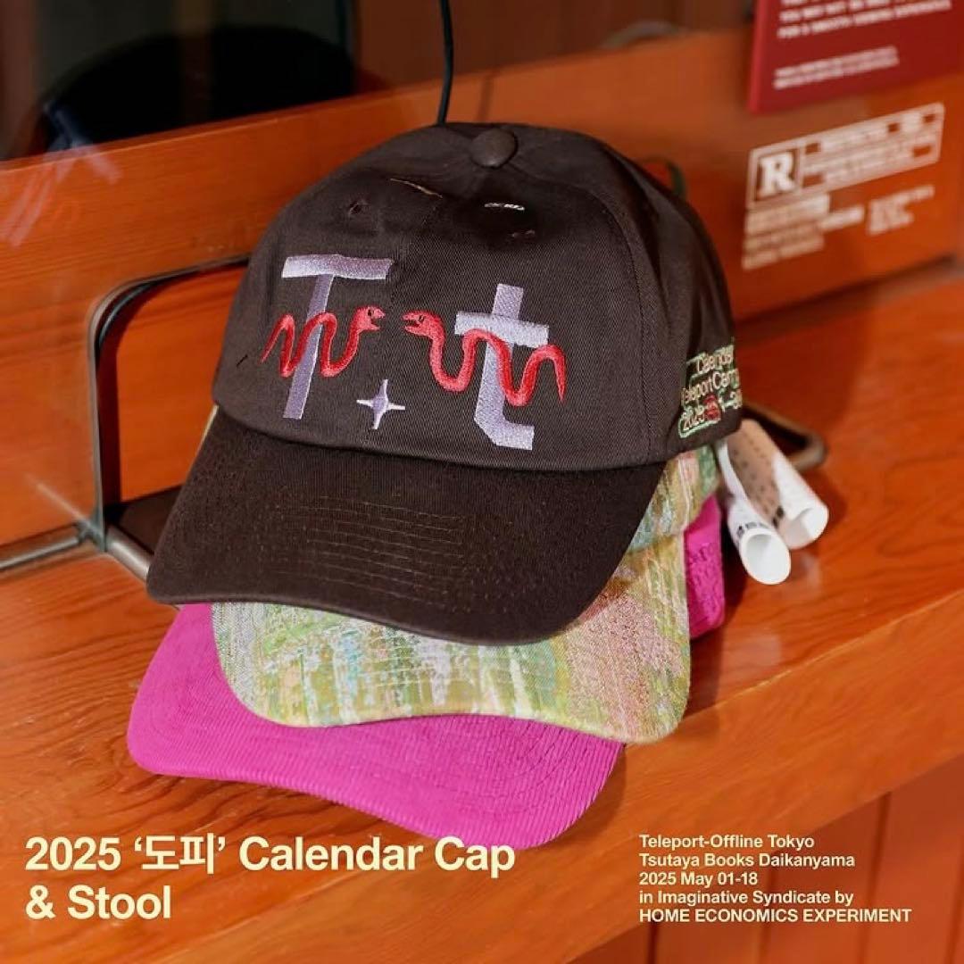 hone economics experiment キャップ