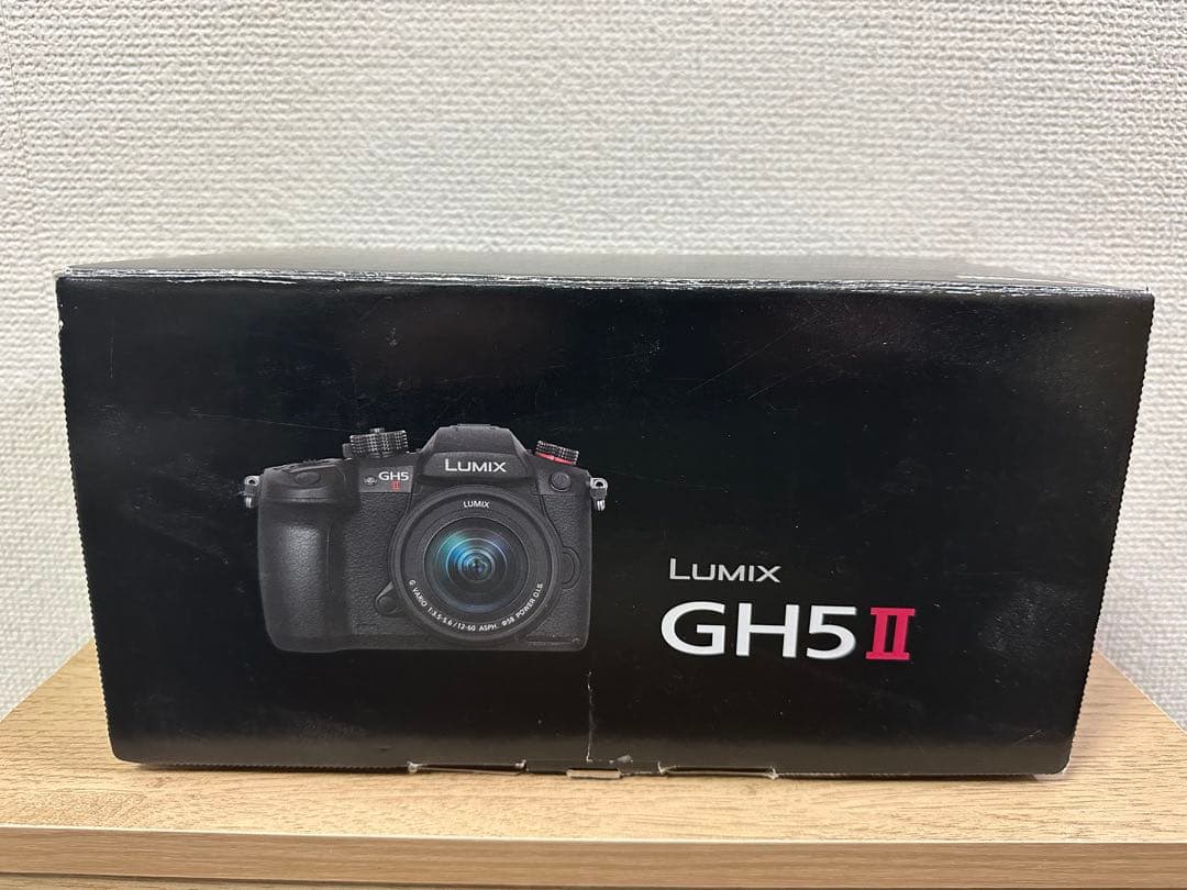 【動作確認済み】LUMIX DC-GH5M2M 標準ズームレンズキット