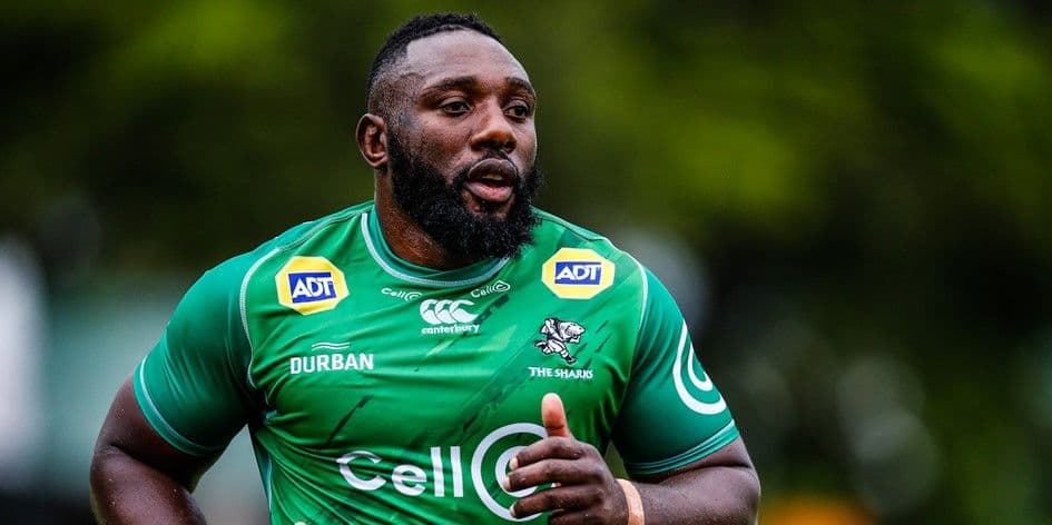 ラグビー 選手仕様ジャージ 南アフリカ シャークス サイズXL 新品