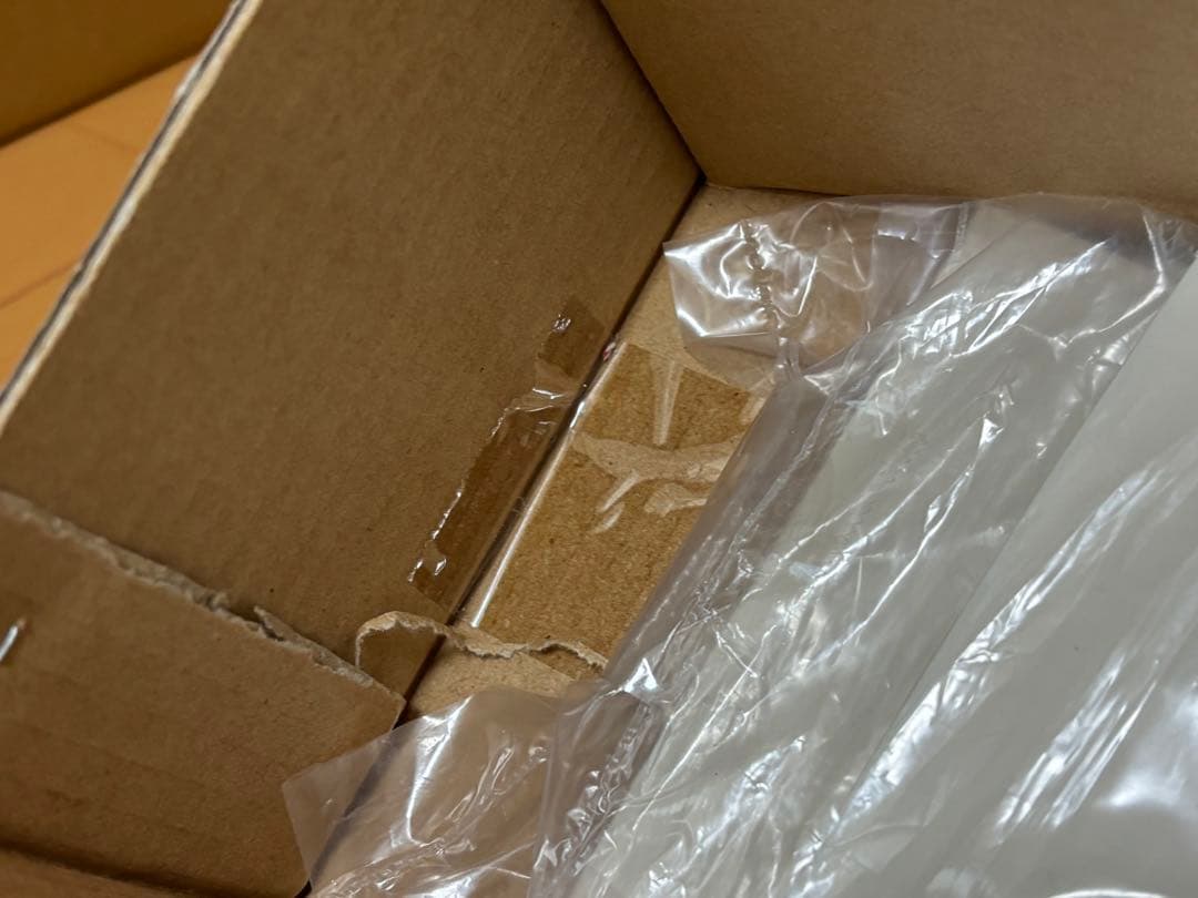 カシオペア mini フォックス ARF Red