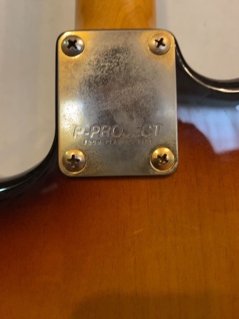 P-Project PST-1V ★VANZANDTピックアップ