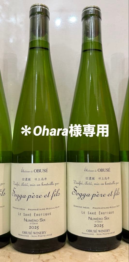 ソガペールエフィス ヌメロシス 2025 2本