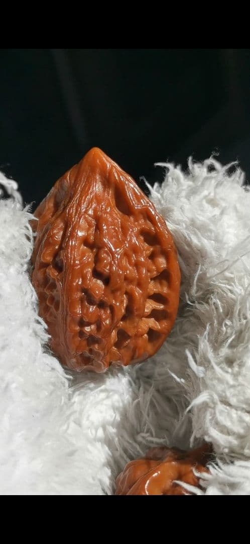 【東京文玩育成】文玩核桃 原樹吸血鬼官帽 32x31x43mm