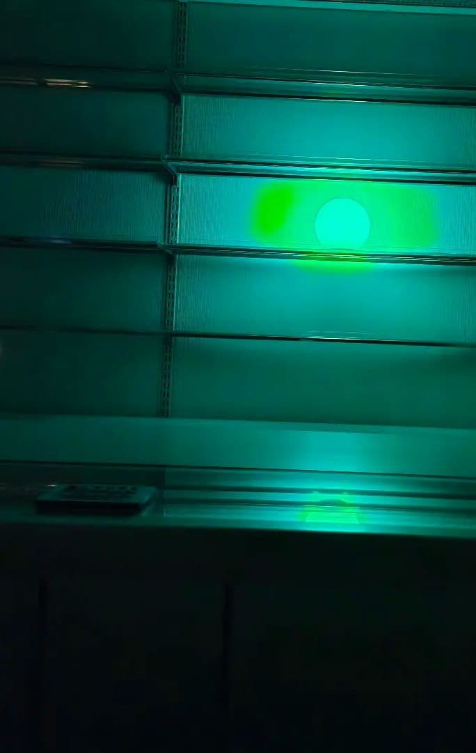 その他 Grey type Alien figure modeled object