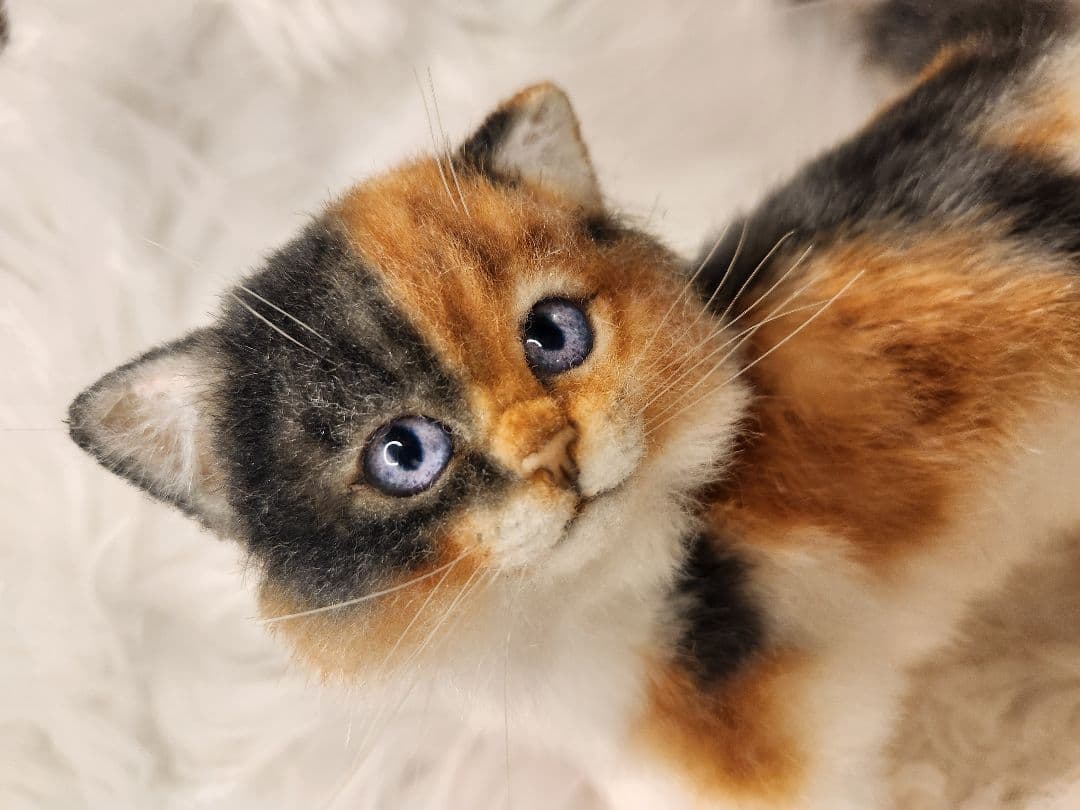 ひ*す様 海外作家 猫 三毛猫 ぬいぐるみ アートドール リアル 羊毛フェルト