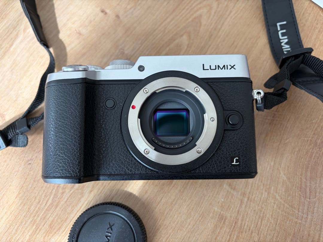 LUMIX DMC-GX8 単焦点レンズ＆バッテリー3個セット【使用頻度少】