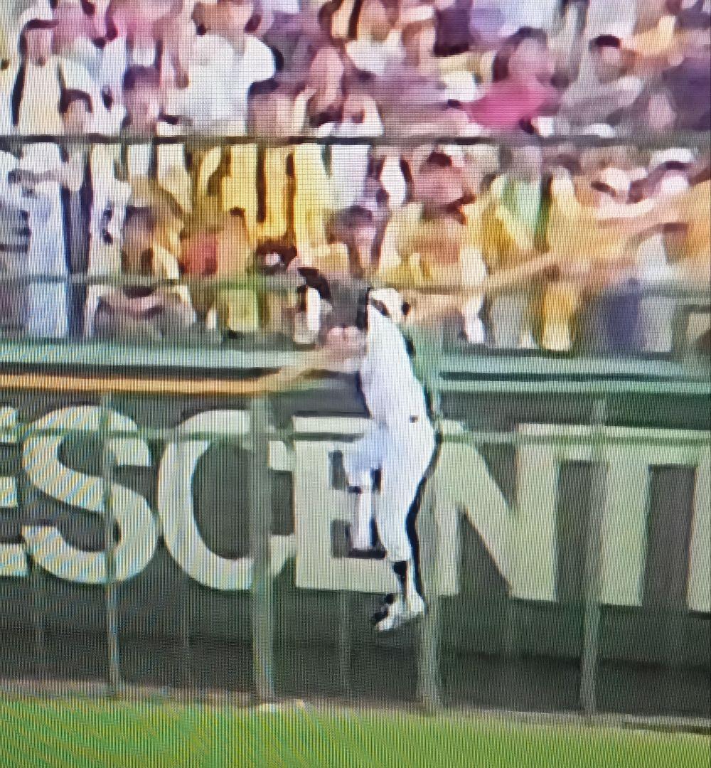 トラスト阪神タイガース北村照文選手実使用グローブ