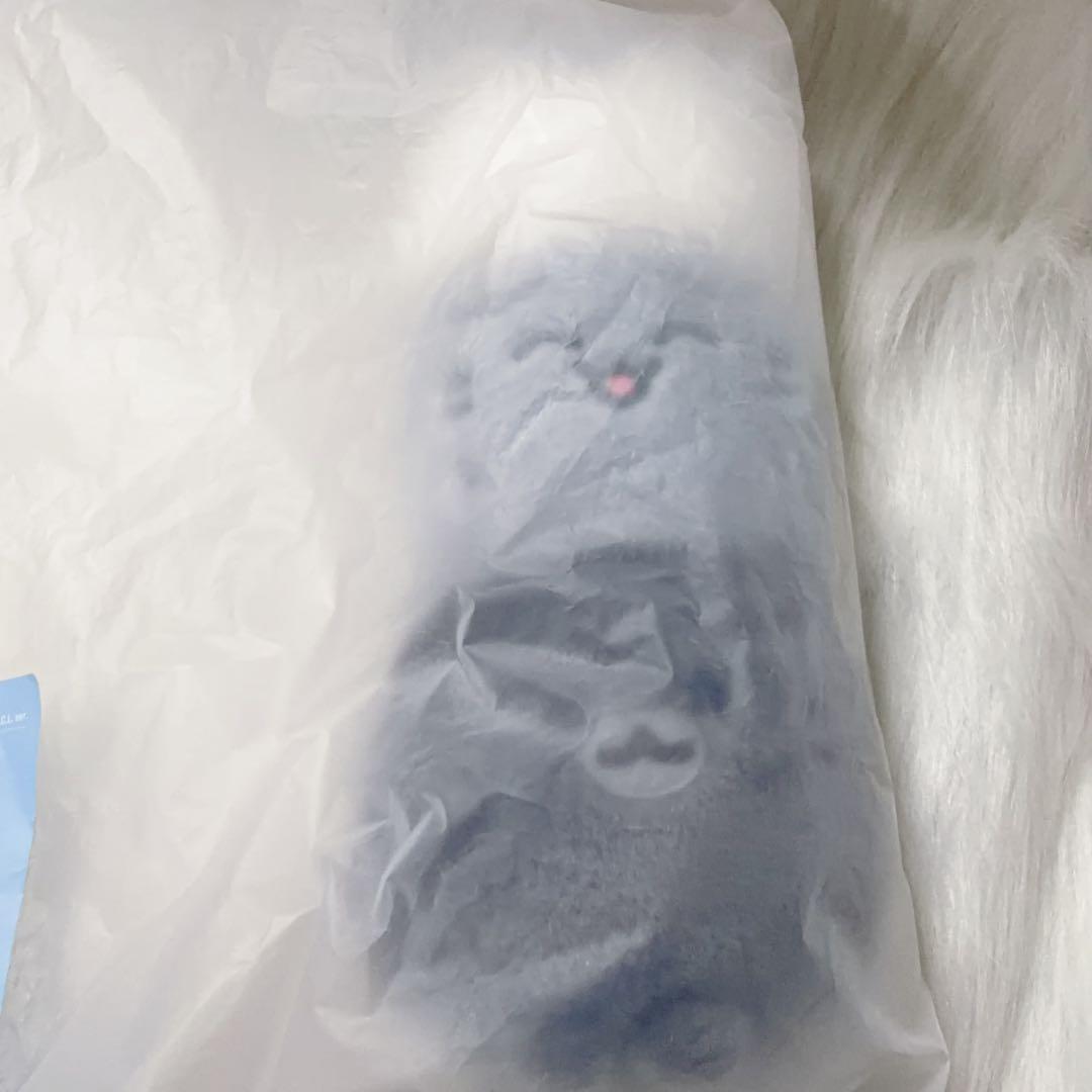 ジュン　SEVENTEEN ミニティーン　ポップアップ　ぬいぐるみ　20cm