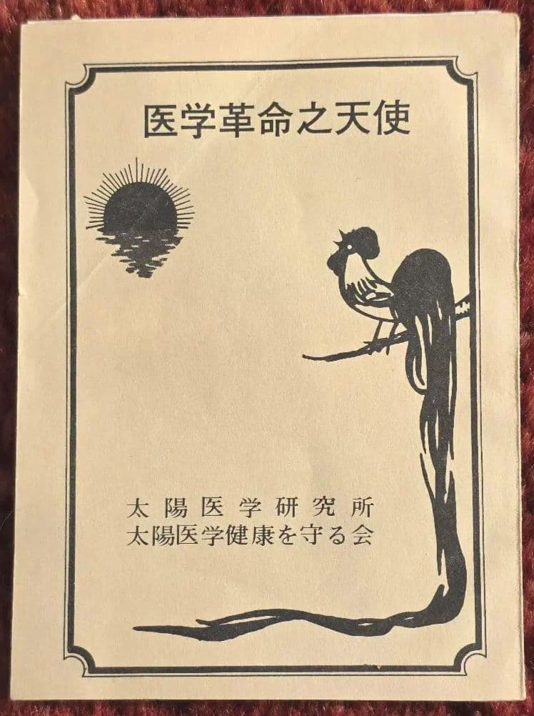 太陽医学光線治療器／動作品＋資料完備＋カーボン付属