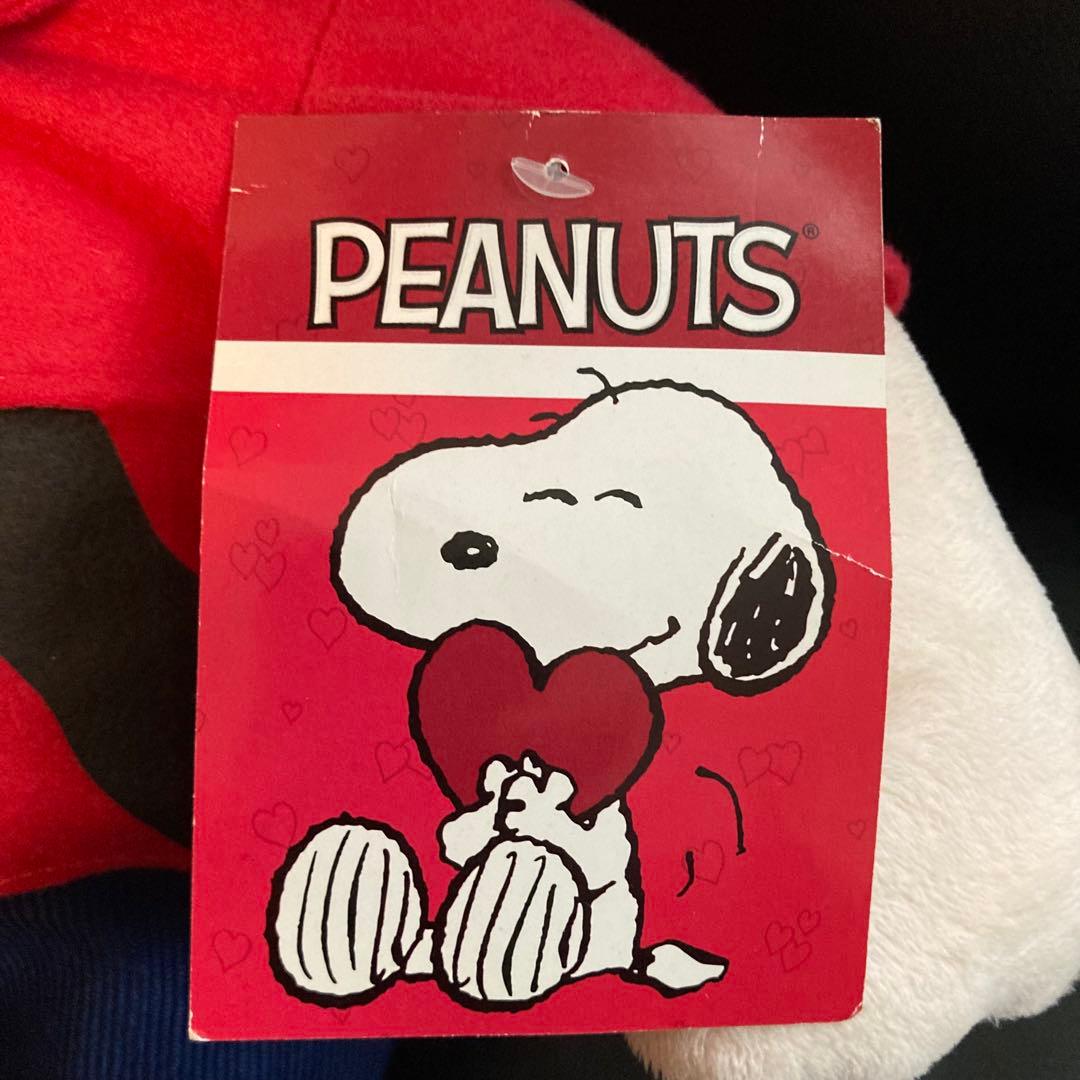 PEANUTS　チャーリーブラウン　バレンタイン　US　ぬいぐるみ　SNOOPY