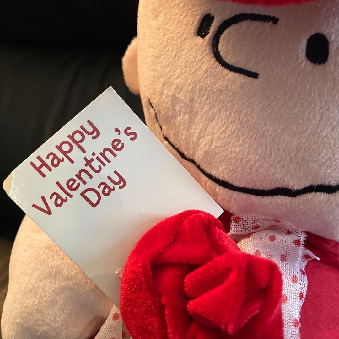 PEANUTS　チャーリーブラウン　バレンタイン　US　ぬいぐるみ　SNOOPY