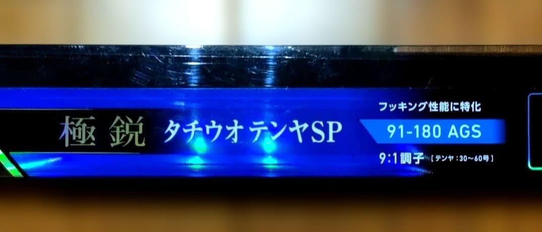 【送料無料】ダイワ 極鋭タチウオテンヤ SP 91-180AGS 9:1調子