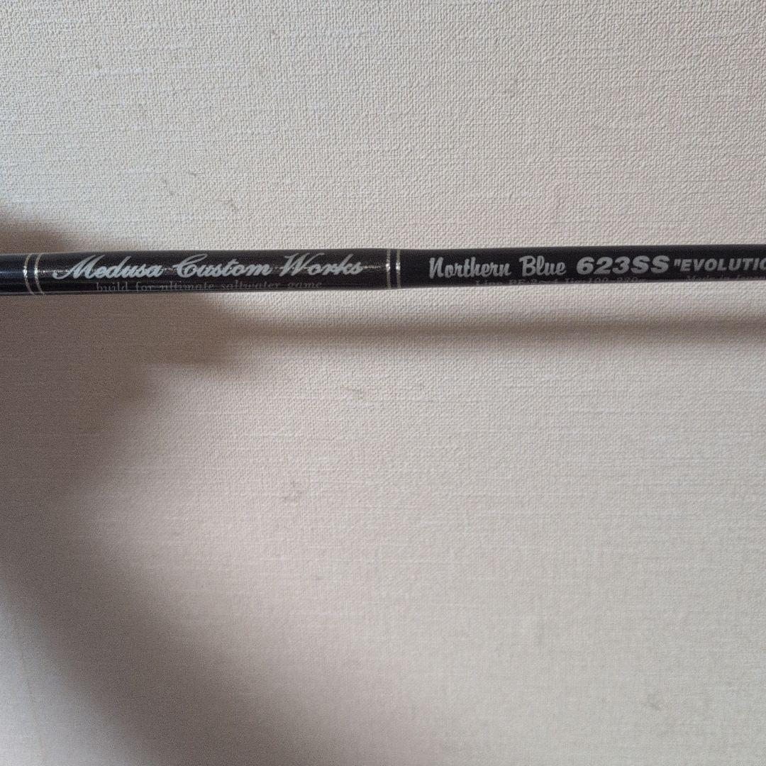 Mcワークス　ノーザンブルー 623SS　アリ