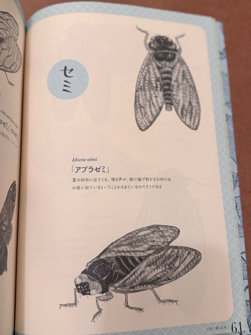 渋*７様 『虫の詩 かそけきものの声音を愛す』小泉八雲
