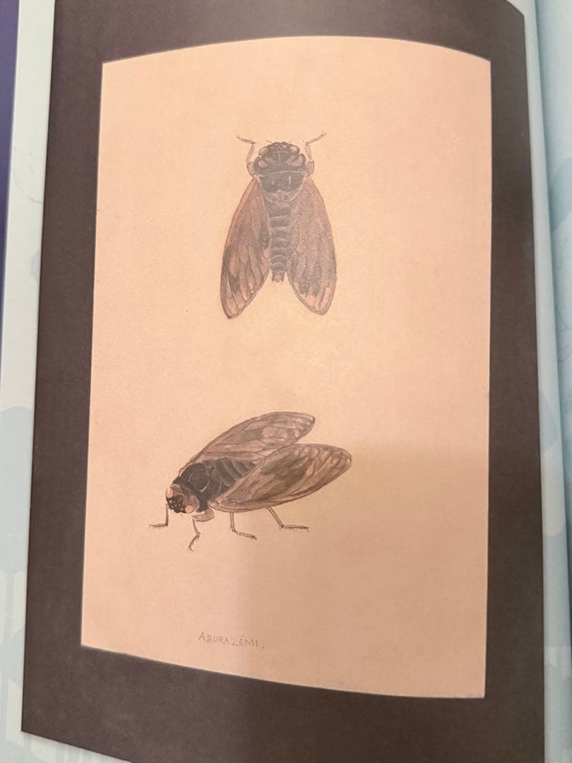 渋*７様 『虫の詩 かそけきものの声音を愛す』小泉八雲