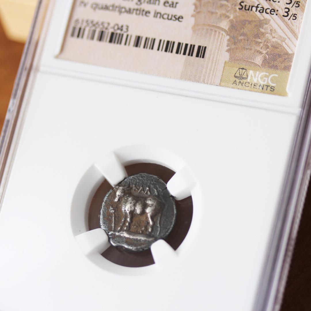 ビテュニア カルケドン【Ch VF NGC】　雄牛　ドラクマ銀貨　ビシニア
