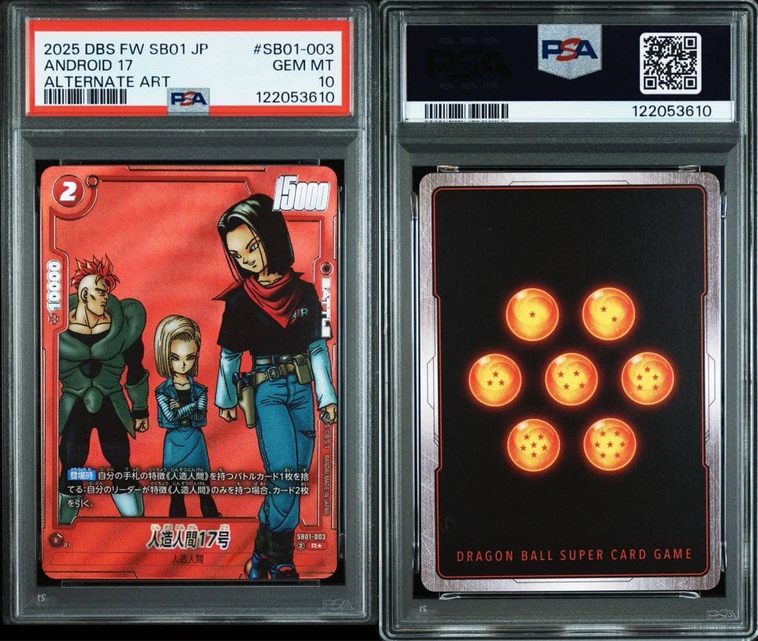 PSA10人造人間17号/人造人間18号 R FB06 『迫り来る脅威』3610