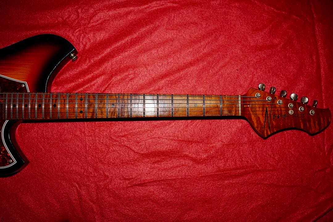 NOVO Serus T / 公式Insta掲載個体 / 3.13kg/fano