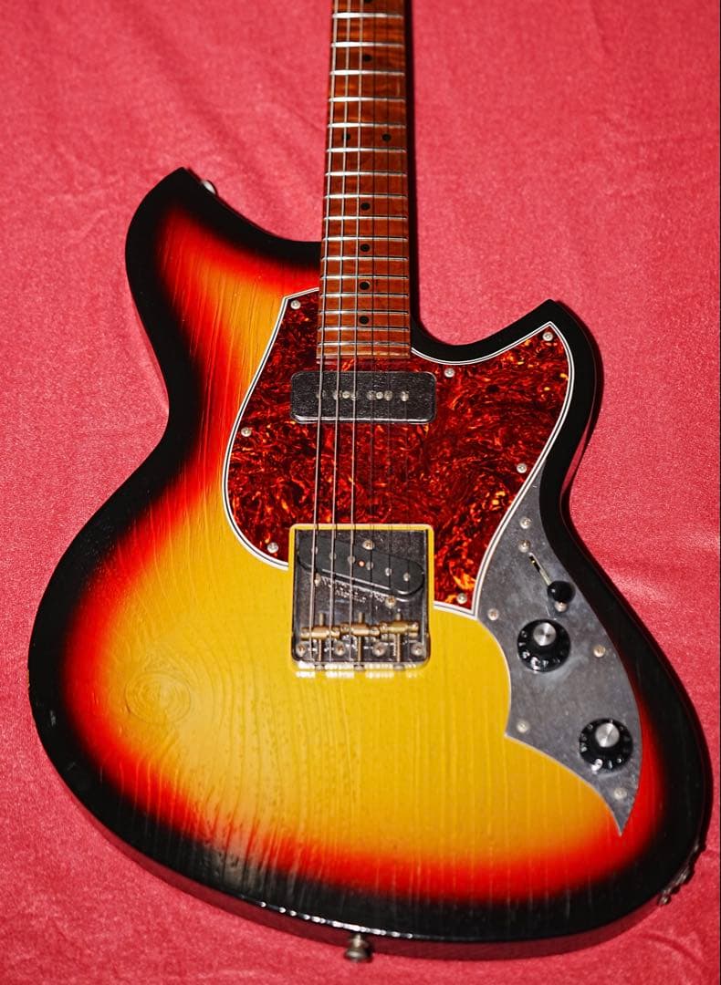 NOVO Serus T / 公式Insta掲載個体 / 3.13kg/fano