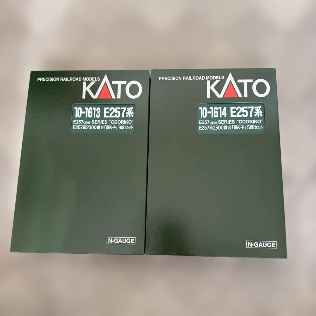10-1613 10-1614 E257系2000番台2500番台「踊り子」
