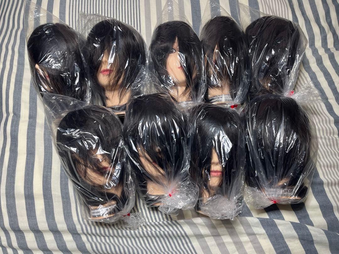 【新品未使用】【最終値下げ】カットウィッグ 国家試験用